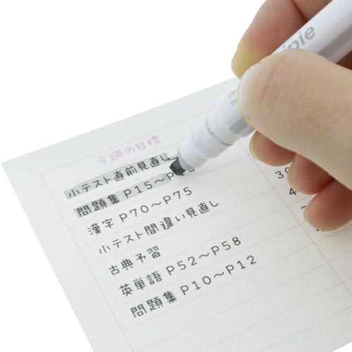 Ｎｉｎｉｐｉｅ　グレー×ブラック