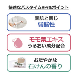 介護　はぴケア　泡ボディーソープ本体　５００ｍｌ