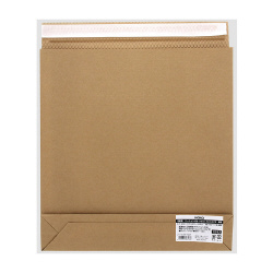 宅配袋　クッション付きレコード用　未晒１０枚Ｘ１０