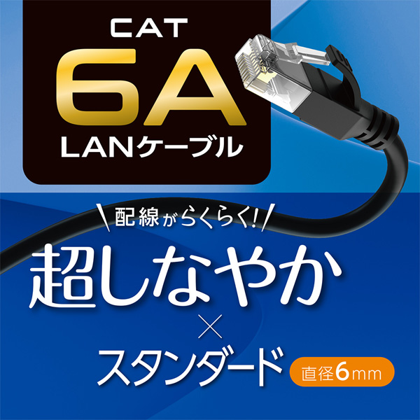CAT6A LANケーブル スタンダード ホワイト 3m