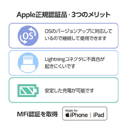 ｉＰｈｏｎｅ充電ケーブル　フラット０．１ｍ　白