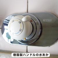 復活洗浄剤　水栓金具・蛇口クリーナー１００ＭＬ