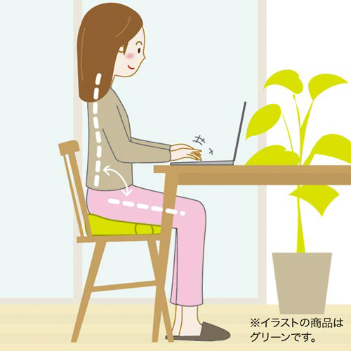 ワークサポートクッションエアーイン座用グリーン