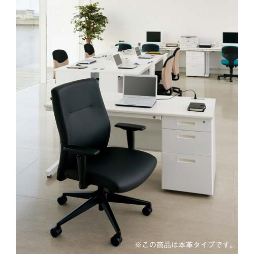 レガーロ　本革タイプ