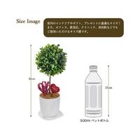 人工観葉植物ボックスウッドＳサイズ