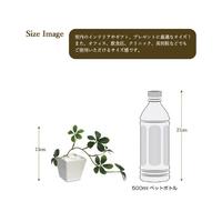 人工観葉植物シュガーバインＷＨＴＳサイズ