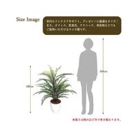 人工観葉植物タマシダＭサイズ