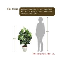 人工観葉植物シェフレラＬサイズ