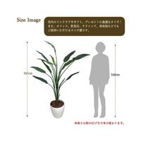 人工観葉植物ストレリチアＬサイズ