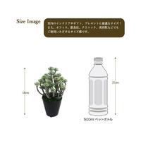 人工観葉植物グリーンセダムミニサイズ