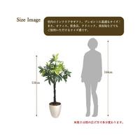人工観葉植物パキラＬサイズ