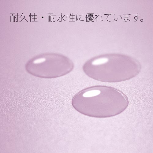 ＰＰフラットファイルＡ４縦厚とじバイオレット　１冊