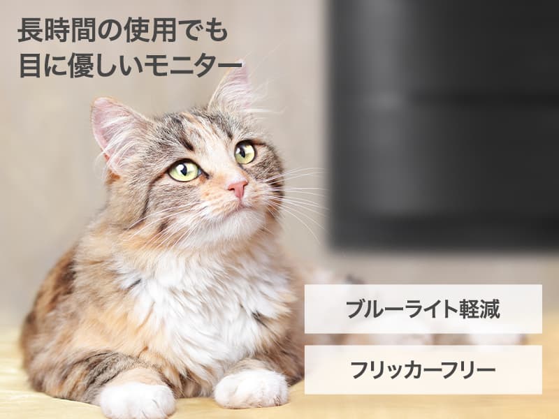 aiwa display B24-3 23.8インチFHDモニター 23.8型/1920×1080/HDMI、VGA/ブラック/スピーカー：なし