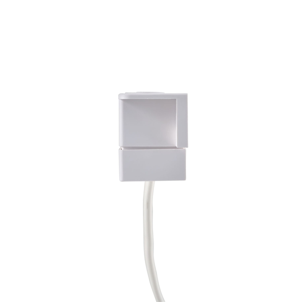LED小物が入るライト