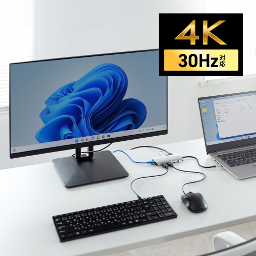 USB Type-C ドッキングステーション