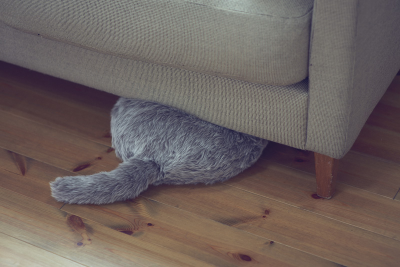 Qoobo ハスキーグレー