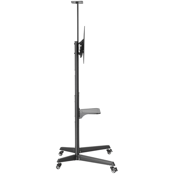ディスプレイ・テレビスタンド キャスター付き 移動式 ～65型対応 4段階高さ調整可能 ケーブル収納 チルト 会議室/オフィス/業務用/店頭/展示会/教室/文教
