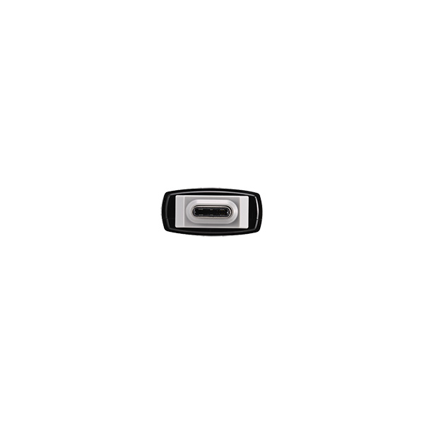 USB3.2(Gen2) Type-C/Aコネクター両対応 中低速帯 スティック型SSD 1.0TB ブラック