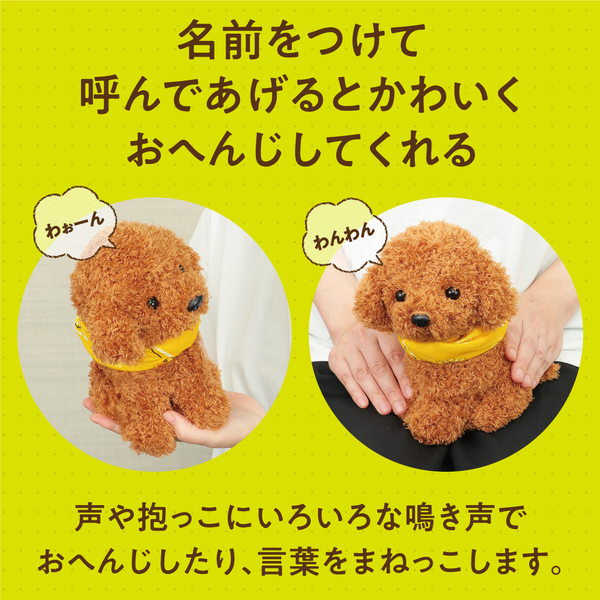 よんで！だっこして！おへんじアニマル2 トイプードル