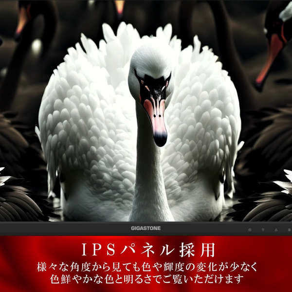 液晶モニター 21.45型/1920×1080/HDMI・VGA入力端子/ブラック/スピーカー無し/IPSパネル/178度広視野角/高解像度/75Hz/フルHD/フレームレス