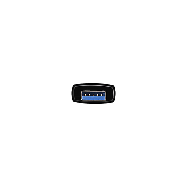 USB3.2(Gen2) Type-C/Aコネクター両対応 高速帯 スティック型SSD 250GB ブラック