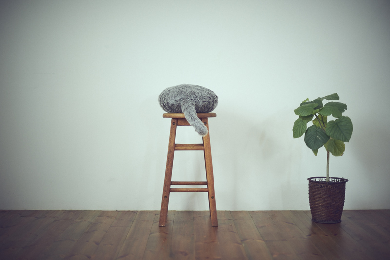 Qoobo ハスキーグレー