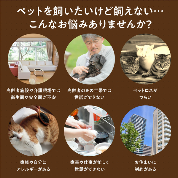 よんで！だっこして！おへんじアニマル2 猫