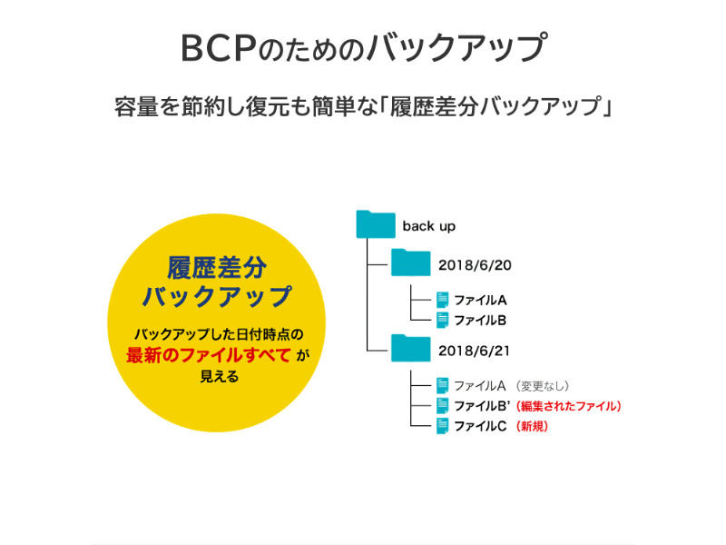 法人向け2ドライブNAS（ネットワークHDD） 5年保証 4TB
