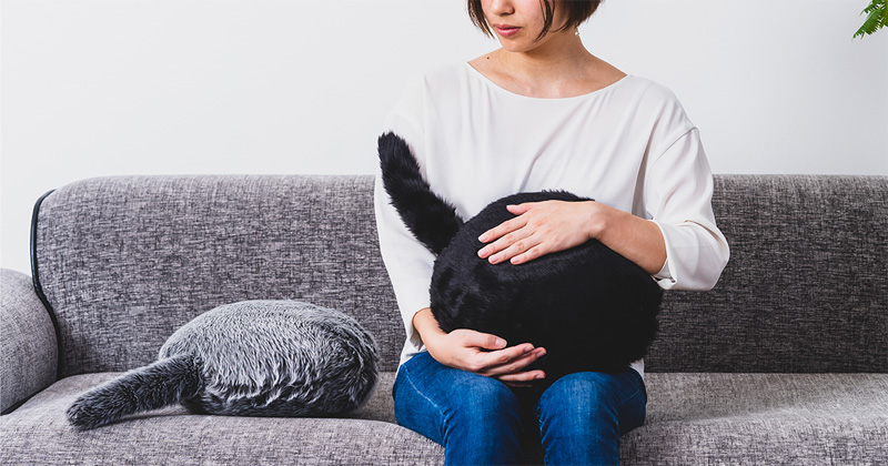 Qoobo ハスキーグレー