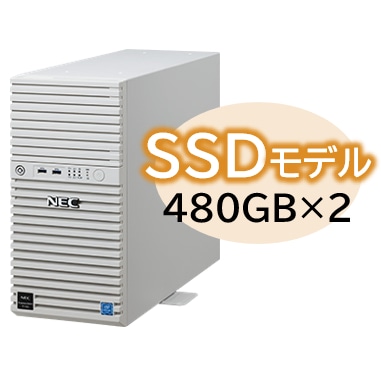 Express5800/D/T110k Xeon E-2314 4C/8GB/SSD 480GB*2 RAID1/W2022/^[ 3Nۏ