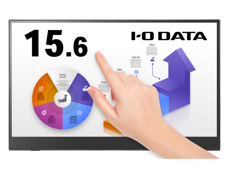 10_}`^b`Ή ChtfBXvC 15.6^/1920×1080/HDMI~jAUSB Type-C(DisplayPort Alt Mode)/ubN/Xs[J[F/Rۃf