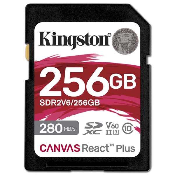 Canvas React Plus V60 SD J[h 256GB