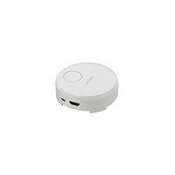 RICOH Wireless Projection Option Button1