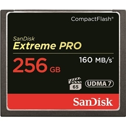 SanDisk GNXg[ v RpNgtbV 256GB