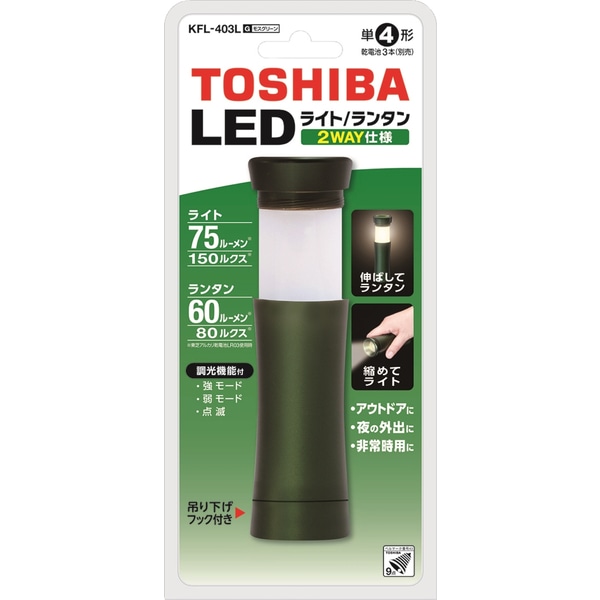 LED^tCg iXO[j