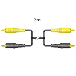 svOX2-svOX2i2Mj