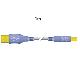 USBP[ui2.0Ήj 1m
