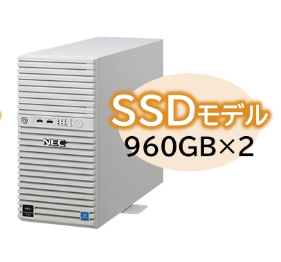 Express5800/D/T110k Xeon E-2314 4C/8GB/SSD 960GB*2 RAID1/W2022/^[ 3Nۏ