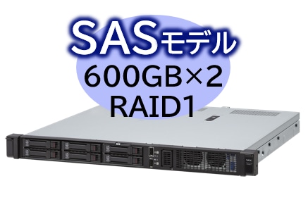 Express5800/D/R110m-1 Xeon E-2434 4C/16GB/SAS 600GB*2 RAID1/W2022/bN