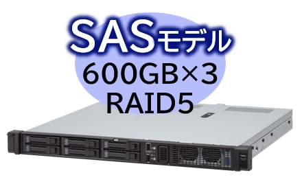 Express5800/D/R110m-1 Xeon E-2434 4C/16GB/SAS 600GB*3 RAID5/W2022/bN