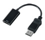 DisplayPort-HDMIϊA_v^2