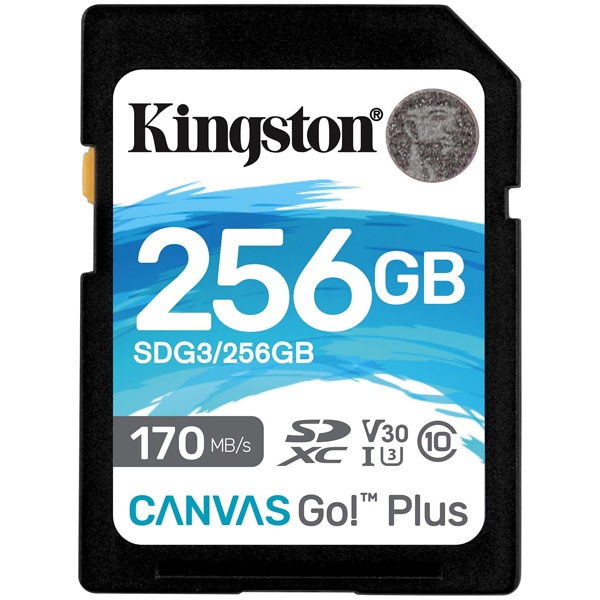 256GB SDXCJ[h Canvas Go! Plus Class 10 UHS-I U3 R:170MB/b W:90MB/b