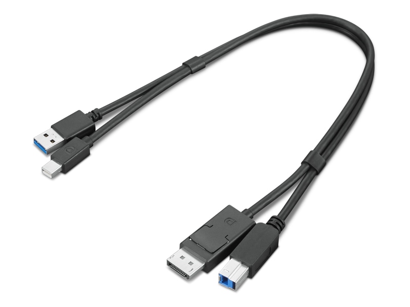 ThinkStation Mini-DisplayPort/USB Type-A3.0 - DisplayPort/USB Type-B3.0 ϊA_v^[