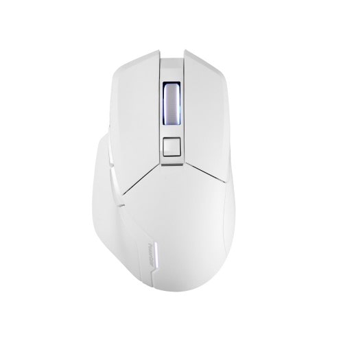 ALPHYN AM10 Wireless Mouse WHITE/CXQ[~O}EX/zCg/Bluetooth/2.4GHzhO/LڑɑΉ/8000Hz|[O[g/\26000DPIZT[