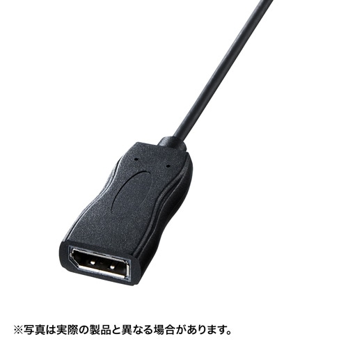 USB Type C-DisplayPortϊA_v^