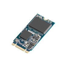 SQF M.2 2242 SSD 256GB MLC (-40`85)