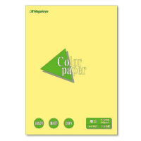 カラーペーパー厚口　Ａ４　１００枚　ナ－３３０３　クリーム