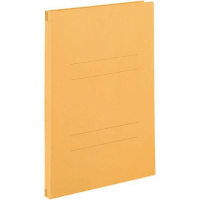 のびーるファイルエスヤード　Ａ４縦２穴　イエロー　１０冊