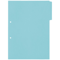 インデックスシートＡ４Ｓ　２穴　３山　ＦＬ－２０１ＩＳ