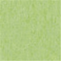 やよいカラー　４ツ切１００枚　たけ